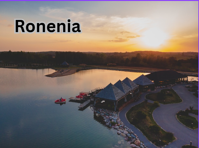 ronenia concept illustration showing modern innovative solution