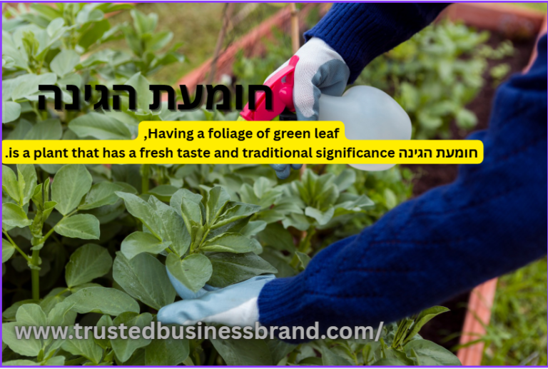 fresh green leaves of חומעת הגינה in garden